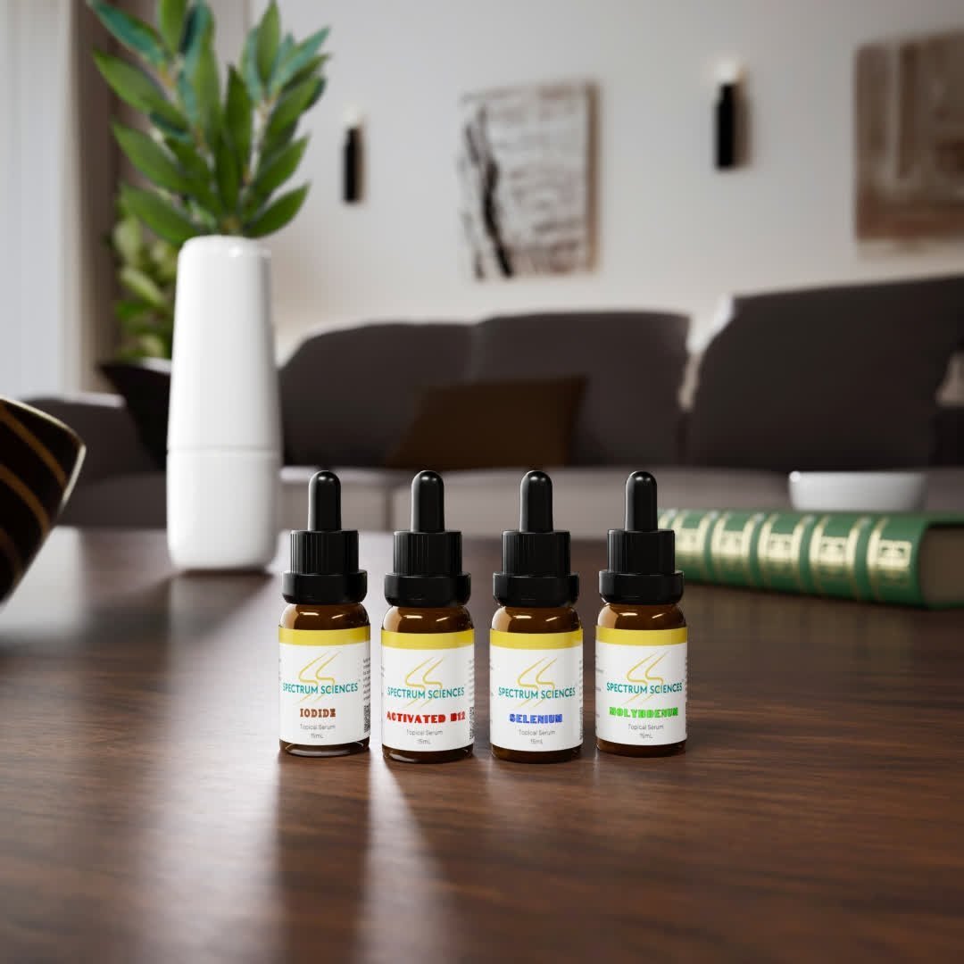 The B12 Protocol in a Nutshell