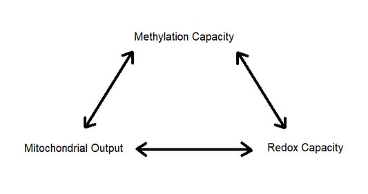 More Than Methylation: Using The Trifecta™ Model of Health to Build a Roadmap to Recovery
