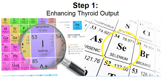How to Use the B12 Protocol (Part 1): Iodide and Selenium