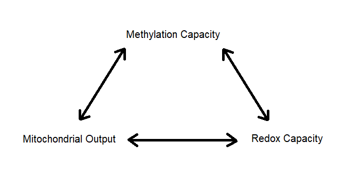 More Than Methylation: Using The Trifecta™ Model of Health to Build a Roadmap to Recovery