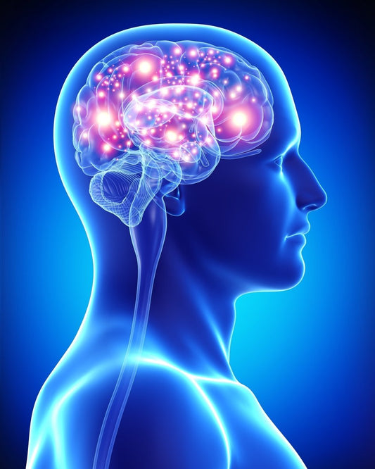 How Neurological Development Can Derail Without Adequate Methylation Capacity: The Role of Vitamin B12