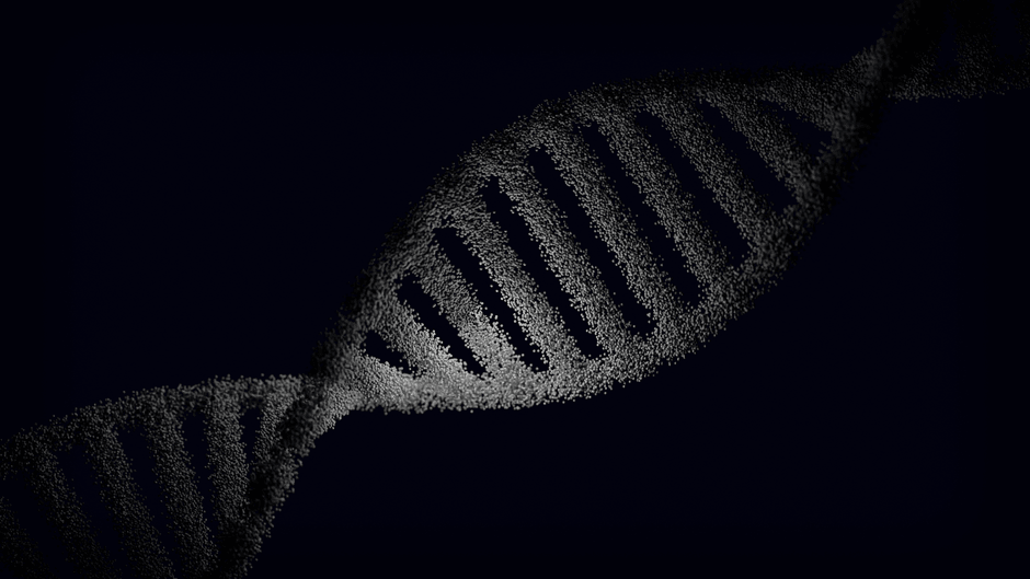 Methyl B12 for Autism: Why Methylation Matters