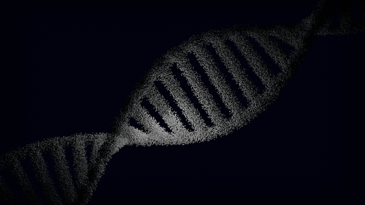Methyl B12 for Autism: Why Methylation Matters